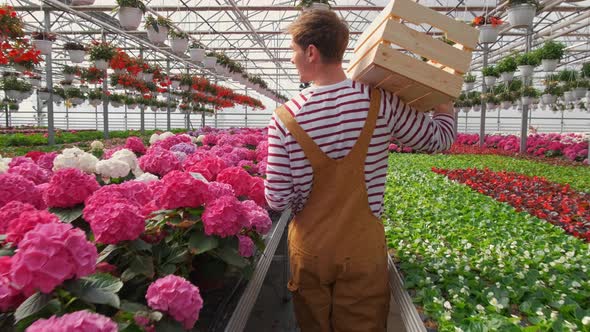 Young Man Holding Empty Box in a Greenhouse