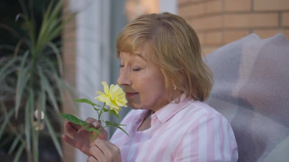 Side View Charming Senior Woman Smelling Yellow Rose in Slow Motion Smiling Looking at Camera