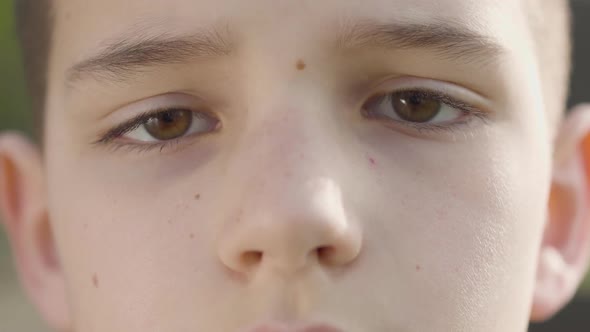 Close Up Portrait of a Little Boy Looking Into the Camera