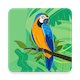 Live Wallpapers Android App - In-app Purchases - CodeCanyon Item for Sale