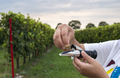 Measure grape beans in vineyards. Woman farmer measure grape sug - PhotoDune Item for Sale