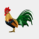 Rooster - 3DOcean Item for Sale
