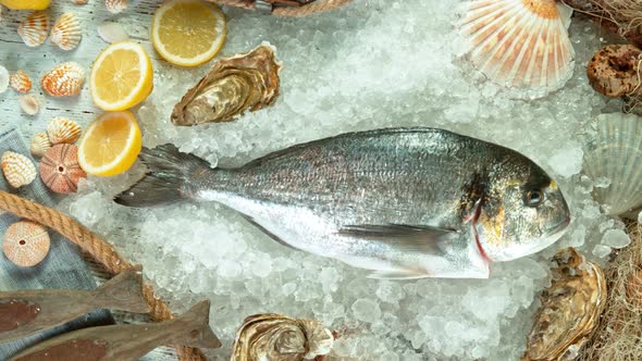 Super Slow Motion Shot of Falling Fresh Bream Fish Into Crushed Ice at 1000 Fps.