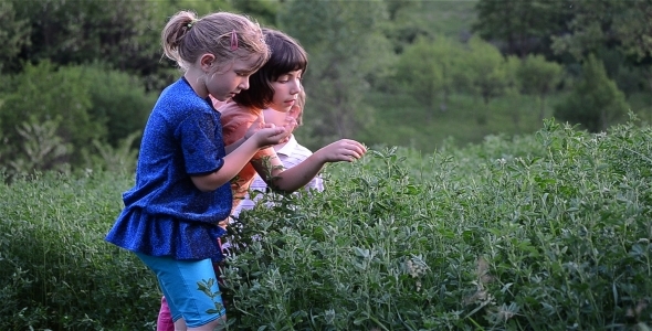 Kids In The Garden