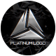 Platinum Logo - VideoHive Item for Sale