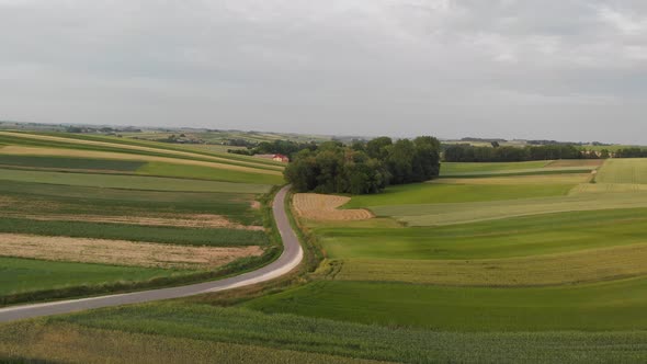 Flight Over Agricultural Field