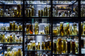 Large collection of animals in alcohol - PhotoDune Item for Sale