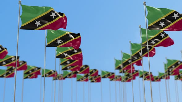 Saint Kitts and Nevis Row Of National flags Walk Throw Animation