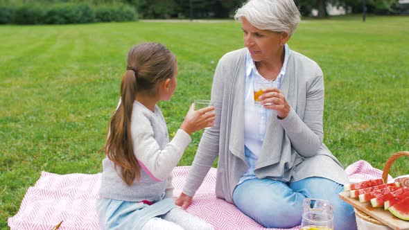 Grandmother and Granddaughter at Picnic in Park 13