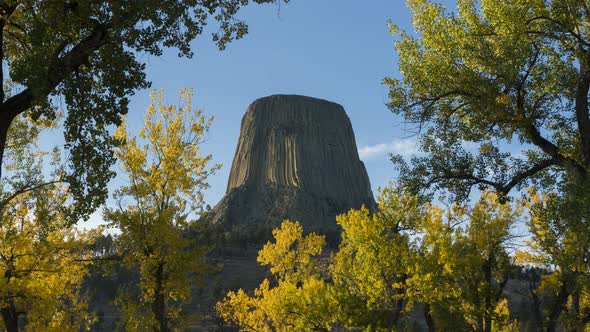 Devils Tower Butte and Yellow Trees in Autumn