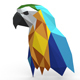 Parrot figure 4 - 3DOcean Item for Sale