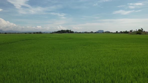 The Travel Heaven of Langkawi, Malaysia