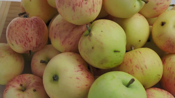 Rotating apples. Bio apples. Apples from the garden.