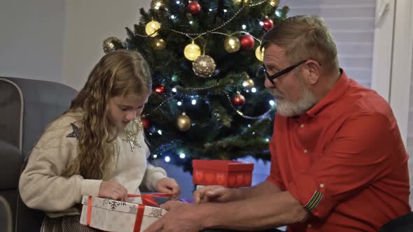 Grandfather and Granddaughter Near the Christmas Tree. The Girl Opens the Gift and Rejoices. Happy