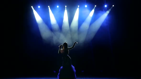 Silhouette of the Singer Performing on Stage