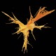 Liquid Explosion - 3DOcean Item for Sale