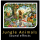 Jungle Animals
