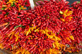 Close up of red chilli in market - PhotoDune Item for Sale