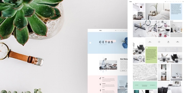 Cetus - Creative Portfolio Psd Template