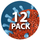 Macro Bacterium 12-Pack - VideoHive Item for Sale