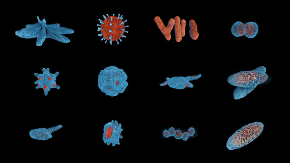 Macro Bacterium On A Transparent Background 12-Pack alt