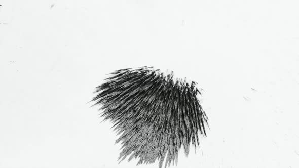 Reaction of Iron Dust From a Magnetic Pull alt