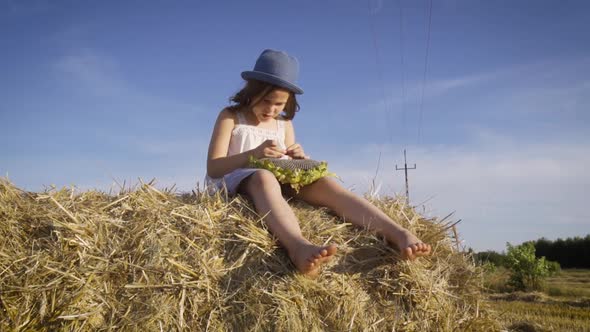 Adorable Girl Eating Sunflower Seeds on Mown Rye in the Field