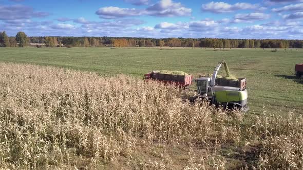 Boundless Corn Field with Operating Agricultural Machinery