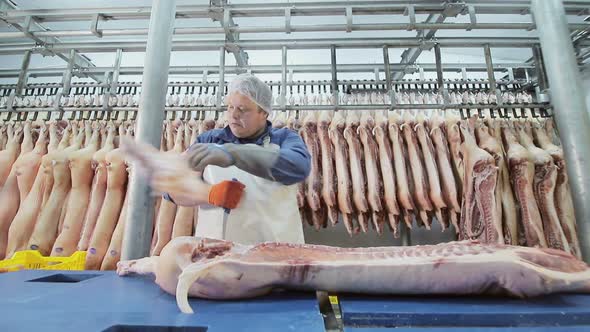 Worker Using an Electric Saw, Cuts Pieces of Pork Meat. Deboning of Pig Meat