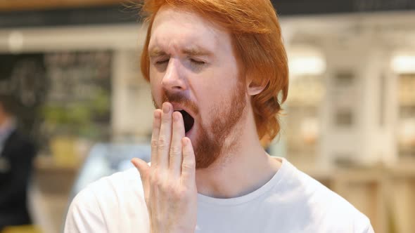 Tired Redhead Beard Man Yawning in Cafe, Indoor