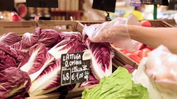 Picking Radicchio Vegetables at Grocery Store