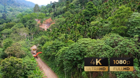 AH - Aerial View a Dirt Road Along Green Forest 07