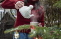 Woman pours tea with a teapot into a teacup. Christmas tree in t - PhotoDune Item for Sale