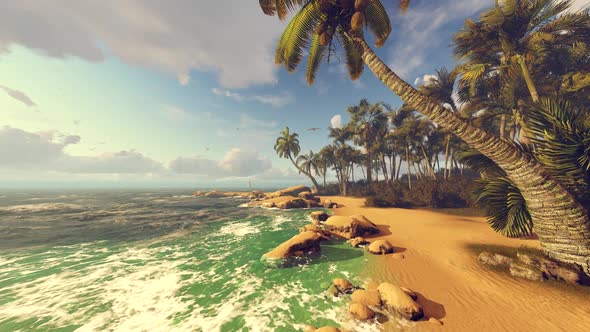 Sea, Sandy Beach And Palm Trees