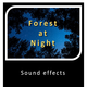 Forest at Night Sounds