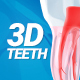 3D Teeth - VideoHive Item for Sale
