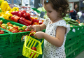 Little girl buying tomatoes in supermarket. Child hold small bas - PhotoDune Item for Sale