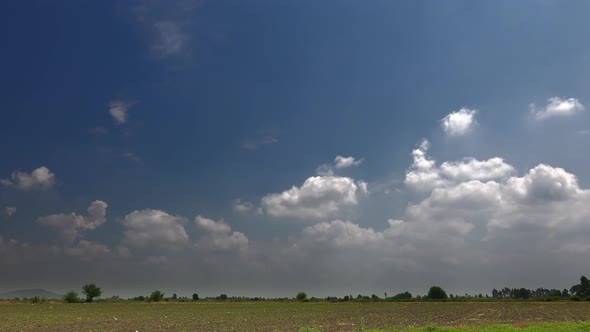 Cumulus Clouds on Agricultural Fields