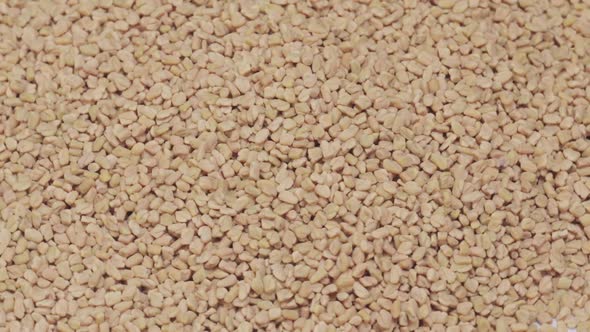 Fenugreek Seeds Background