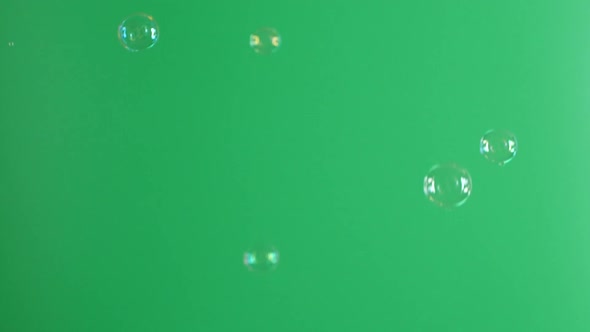 Slow Motion of Soap Air Bubbles Texture on Chroma Key Green Screen Background
