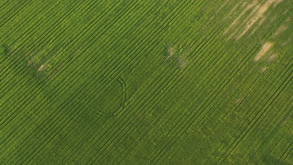 aerial drone shot of grassland farming agriculture