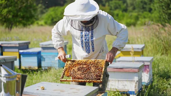 Apiarist near beehives. 