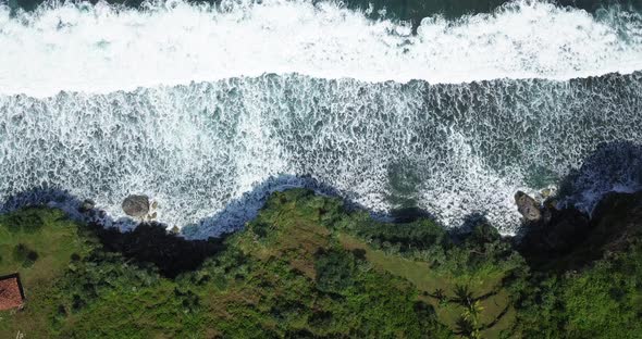 Overhead drone shot of waves hit the cliff with overgrown green trees. Cliff border with sea. The so