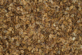Food background: dill seeds - PhotoDune Item for Sale