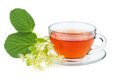 Herbal tea and linden blossom - PhotoDune Item for Sale