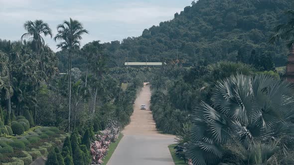 Car Drives Fast Along Asphalt Road Among Tropical Forest