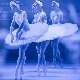 Swan Lake Music Box 2