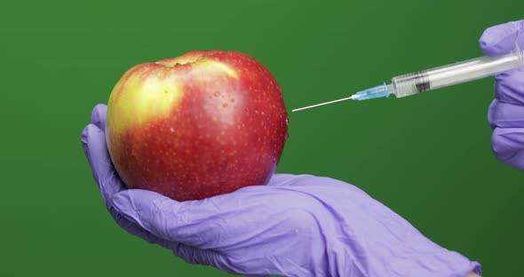 Female Scientist Makes a Injection with a Medicine Syringe in Apple