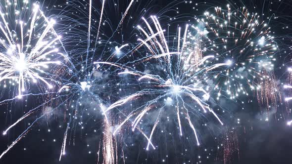 Colorful fireworks exploding in the night sky. 