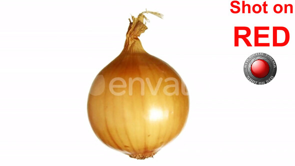 Onion Vegetables